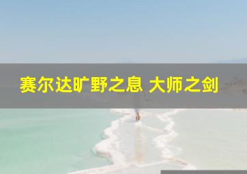 赛尔达旷野之息 大师之剑